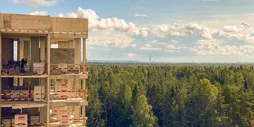 Вид из окна 3 корпуса на окружающий лес – 1 очередь